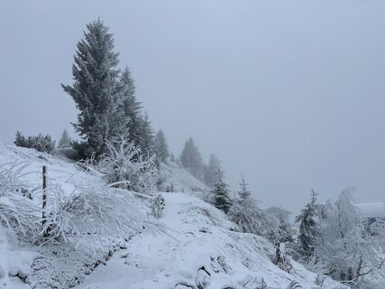 Foto von Heinz Sperl entlang der Tour