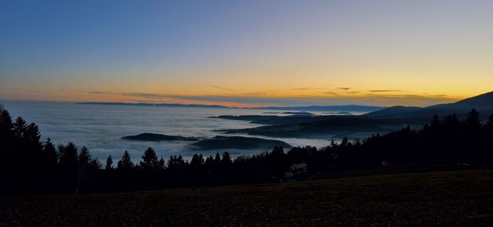 Foto de Sandy a lo largo del recorrido