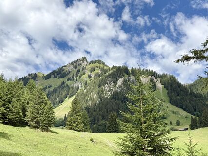 Photo de Norbert Herbig le long du parcours