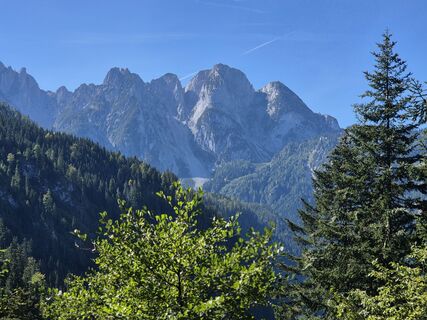 Photo de walkno le long du parcours