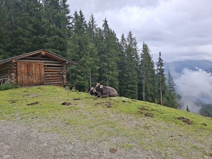 Photo de Karl Thies le long du parcours