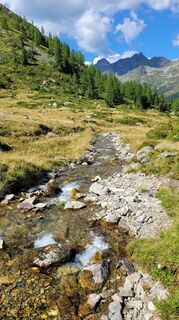 Photo de Juliane Jarke le long du parcours