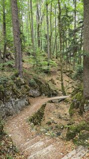 Photo de Andreas Wagner 12 le long du parcours