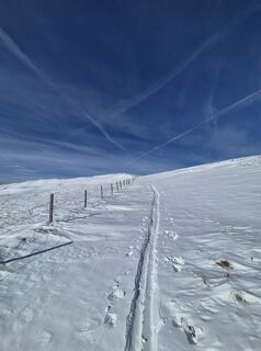 Foto de Arnulf Müller a lo largo del recorrido