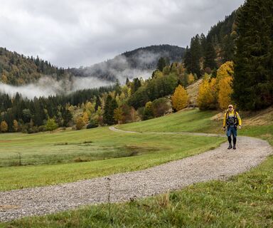 Wandern auf dem Albsteig
