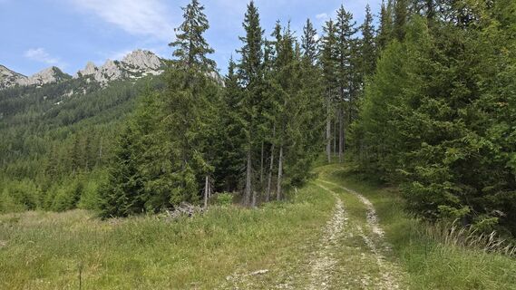 Foto de Carsten Sommer a lo largo del recorrido