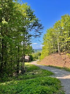 Fotografia z Sonja Huter na trase