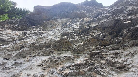 Fotografija s spletne strani Regina Fleischmann na poti