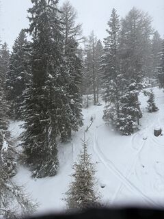 Foto de Bernd Masanetz a lo largo del recorrido