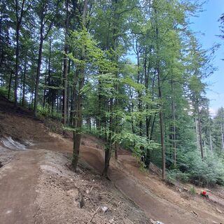 Kathi Truppe Trail T52
