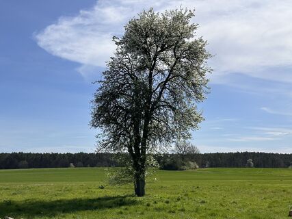 Fotografie z Norbert Herbig na trase