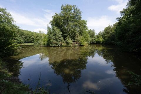 raesfeld-tiergarten-schloss-raesfeld