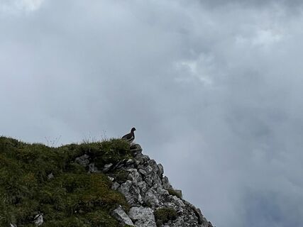 Foto von Sebastian Keßler entlang der Tour
