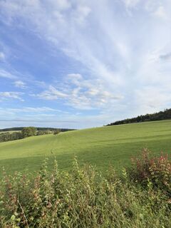 Photo de M2504 le long du parcours
