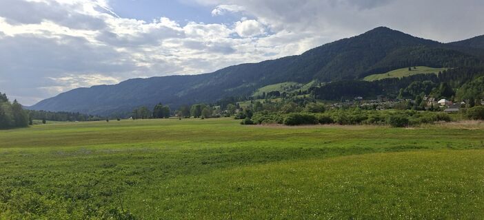 Foto von Mangolein entlang der Tour
