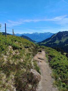 Fotografie de la holgi61 de-a lungul turului