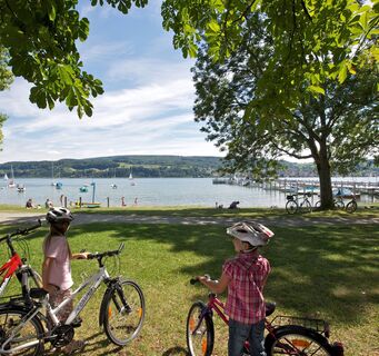 Rund um den Untersee