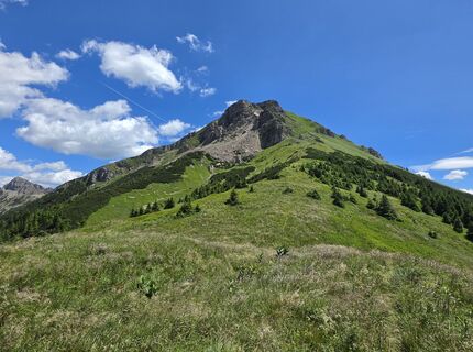 Fotografie z MRDL na trase