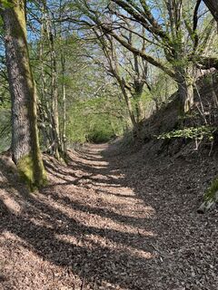 2026-04-18 Wiesbüttsee