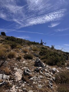 Photo de Andrea Loew le long du parcours