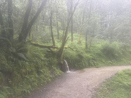 Foto von Helmut Schellmann entlang der Tour