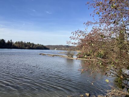 Fotografia z Markus Glanzmann na trase