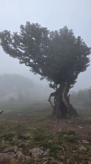 Foto von Raimund Nolte 1 entlang der Tour