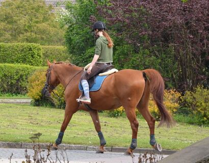 Ausreiten