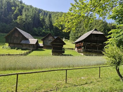 Photo de michael hanisch le long du parcours