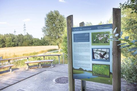 emsdetten-naturschutzgebiet-emsauen-01