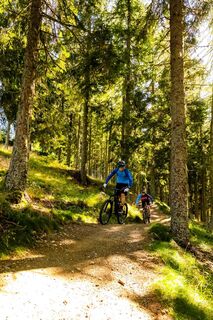 Mountainbiken Simonhöhe