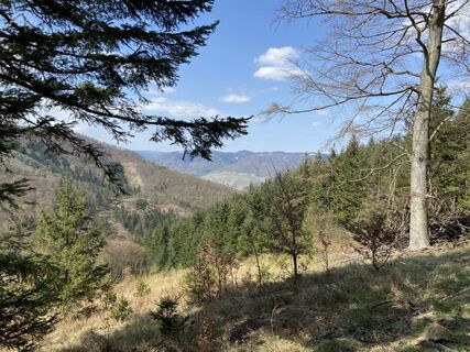 Fotografie z Attila Mihalcz na trase