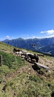 Foto von David Vogl entlang der Tour