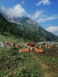Photo de Dagmar Hofer le long du parcours