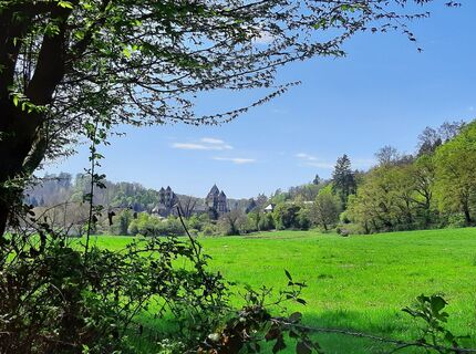 Fotografija s spletne strani Marco Sandfort-Wessels na poti