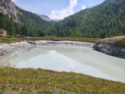 Foto de Gudi kowa a lo largo del recorrido