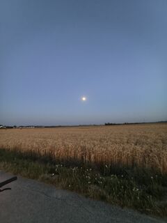 Fotografie z Sándor Molnár 7 na trase