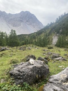 Foto från Stefan Zahlbrecht under resans gång