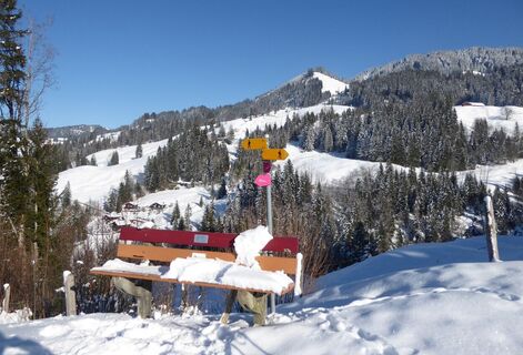 Schneeschuhtour Biberegg - Mostelberg / Bänkli oberhalb Huob