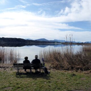 Die Stille in der Wallersee-Ostbucht.