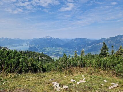 Foto von Lone wolf entlang der Tour