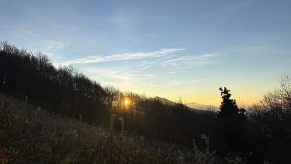 Fotografija s spletne strani Z-Polen na poti