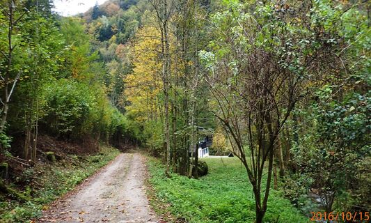vom Schindeltal in den Geisgraben