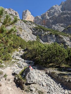 Photo de danistachi le long du parcours