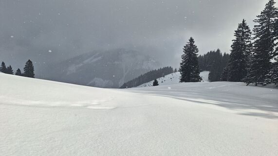 Fotografia z Regina Fleischmann na trase