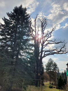 Foto von Holger Turban entlang der Tour