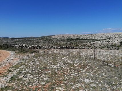 Fotografija s spletne strani Marjan Ostruh na poti