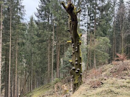 Foto von Norbert Herbig entlang der Tour