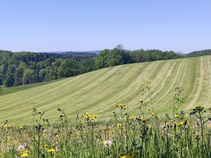 Foto von Sommer Joe entlang der Tour