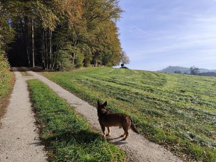 Foto von Sonja Cerny entlang der Tour